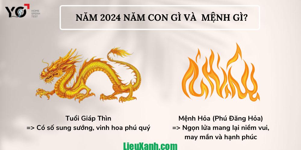 Năm 2024 Tuổi Nào Không Hợp Sinh Con? Cần Lưu Ý Gì 5